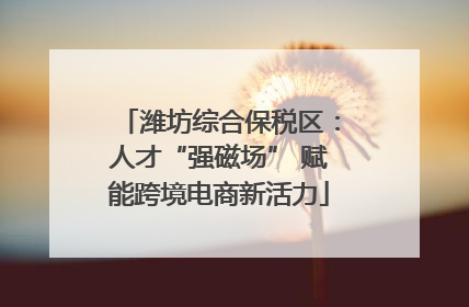 潍坊综合保税区：人才“强磁场” 赋能跨境电商新活力